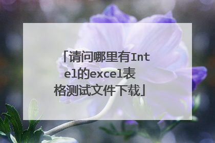 请问哪里有Intel的excel表格测试文件下载