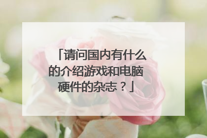 请问国内有什么的介绍游戏和电脑硬件的杂志?