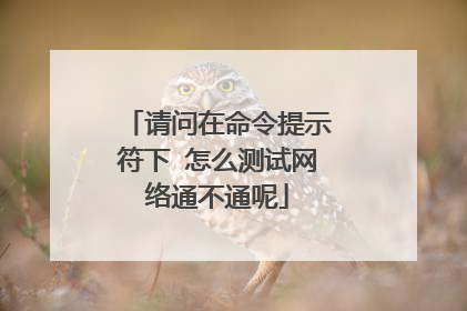请问在命令提示符下 怎么测试网络通不通呢