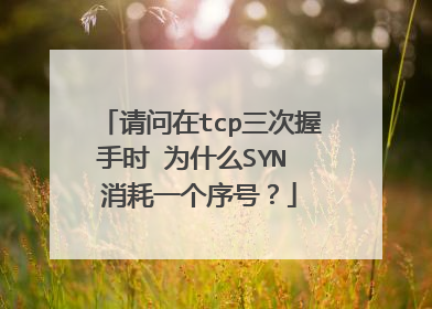 请问在tcp三次握手时 为什么SYN 消耗一个序号？