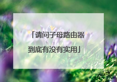 请问子母路由器到底有没有实用