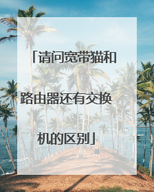 请问宽带猫和路由器还有交换机的区别