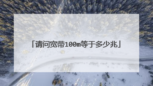 请问宽带100m等于多少兆
