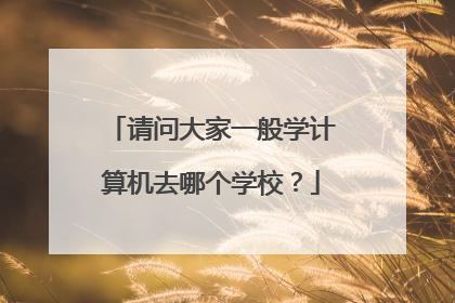 请问大家一般学计算机去哪个学校？