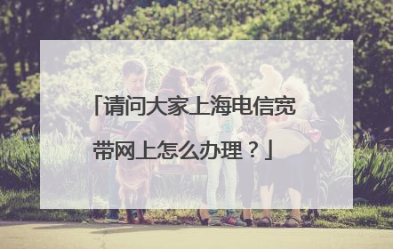 请问大家上海电信宽带网上怎么办理?