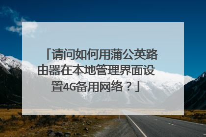 请问如何用蒲公英路由器在本地管理界面设置4G备用网络?