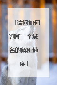 请问如何判断一个域名的解析速度