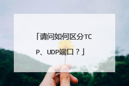 请问如何区分TCP、UDP端口?
