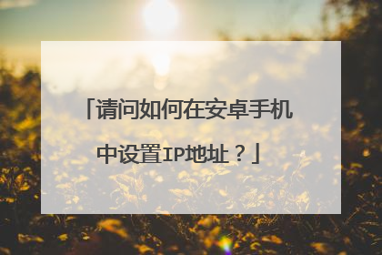 请问如何在安卓手机中设置IP地址?