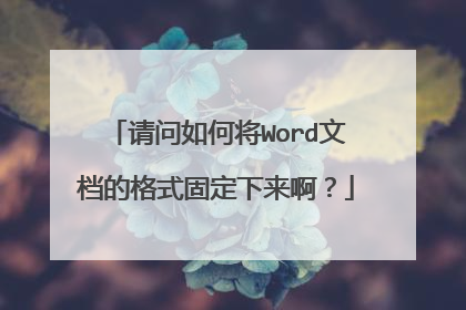 请问如何将Word文档的格式固定下来啊？