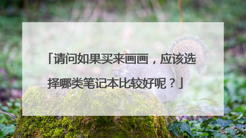 请问如果买来画画,应该选择哪类笔记本比较好呢?
