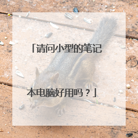 请问小型的笔记本电脑好用吗?