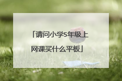 请问小学5年级上网课买什么平板