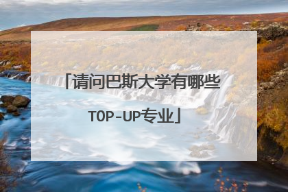 请问巴斯大学有哪些TOP-UP专业