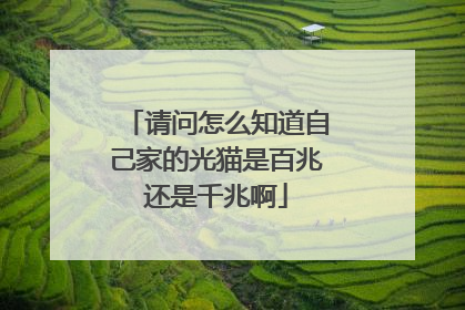 请问怎么知道自己家的光猫是百兆还是千兆啊