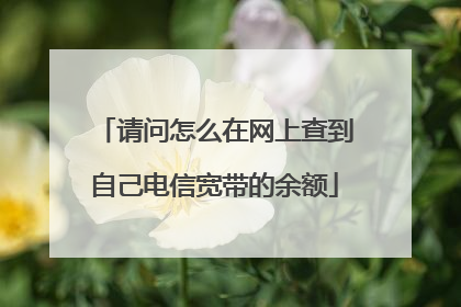 请问怎么在网上查到自己电信宽带的余额