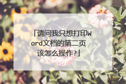 请问我只想打印Word文档的第二页该怎么操作?