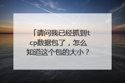 请问我已经抓到tcp数据包了,怎么知道这个包的大小?怎么统计流量?