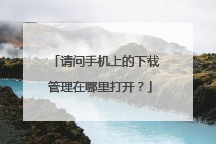 请问手机上的下载管理在哪里打开?
