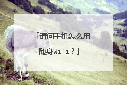 请问手机怎么用随身Wifi？