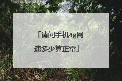 请问手机4g网速多少算正常