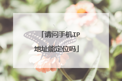 请问手机IP地址能定位吗