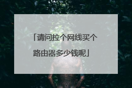 请问拉个网线买个路由器多少钱呢
