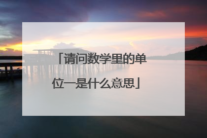 请问数学里的单位一是什么意思