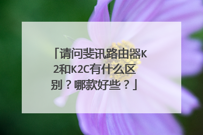 请问斐讯路由器K2和K2C有什么区别？哪款好些？