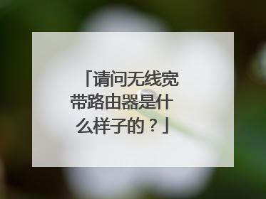 请问无线宽带路由器是什么样子的？
