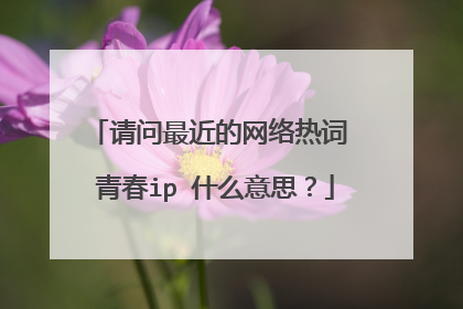 请问最近的网络热词 青春ip 什么意思？