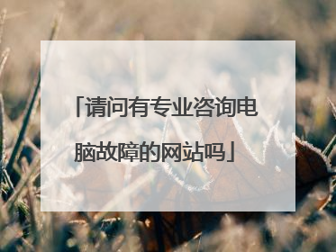 请问有专业咨询电脑故障的网站吗