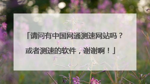 请问有中国网通测速网站吗?或者测速的软件,谢谢啊!
