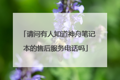 请问有人知道神舟笔记本的售后服务电话吗