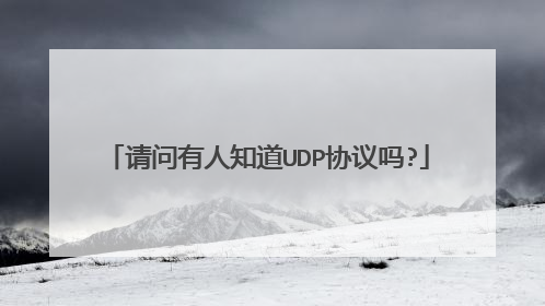 请问有人知道UDP协议吗?