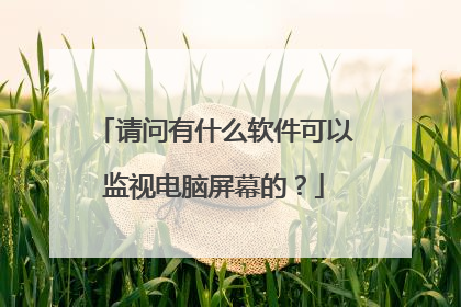 请问有什么软件可以监视电脑屏幕的?