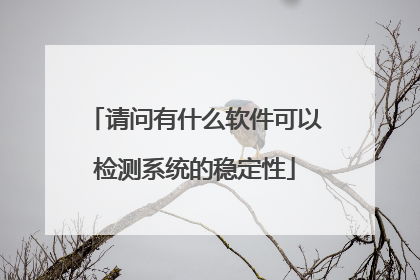 请问有什么软件可以检测系统的稳定性