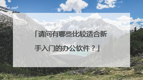 请问有哪些比较适合新手入门的办公软件？