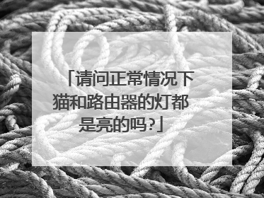 请问正常情况下猫和路由器的灯都是亮的吗?