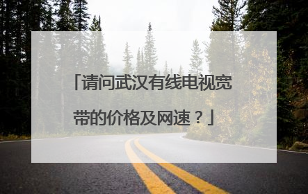 请问武汉有线电视宽带的价格及网速?