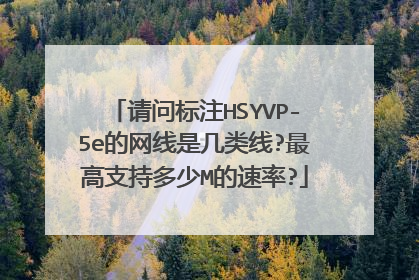 请问标注HSYVP-5e的网线是几类线?最高支持多少M的速率?