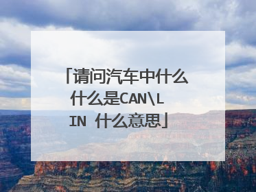 请问汽车中什么什么是CANLIN 什么意思