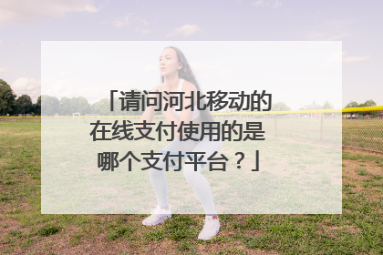 请问河北移动的在线支付使用的是哪个支付平台?