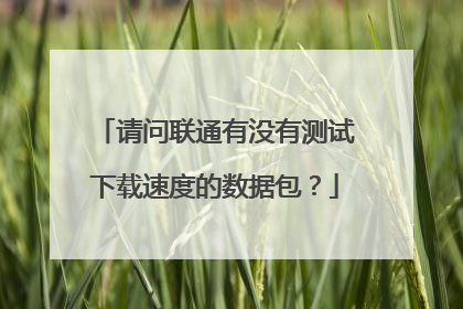 请问联通有没有测试下载速度的数据包？
