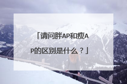 请问胖AP和瘦AP的区别是什么？