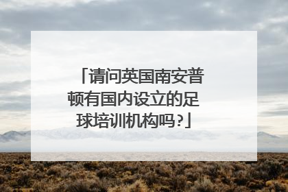 请问英国南安普顿有国内设立的足球培训机构吗?