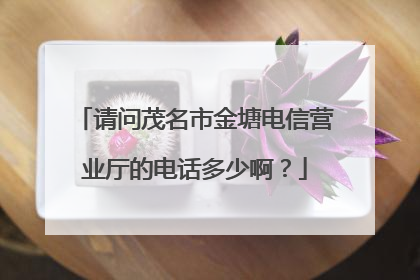 请问茂名市金塘电信营业厅的电话多少啊？