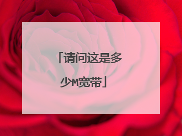 请问这是多少M宽带