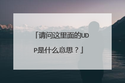 请问这里面的UDP是什么意思？