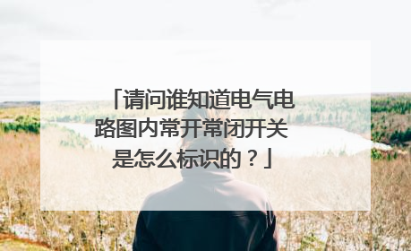 请问谁知道电气电路图内常开常闭开关是怎么标识的?